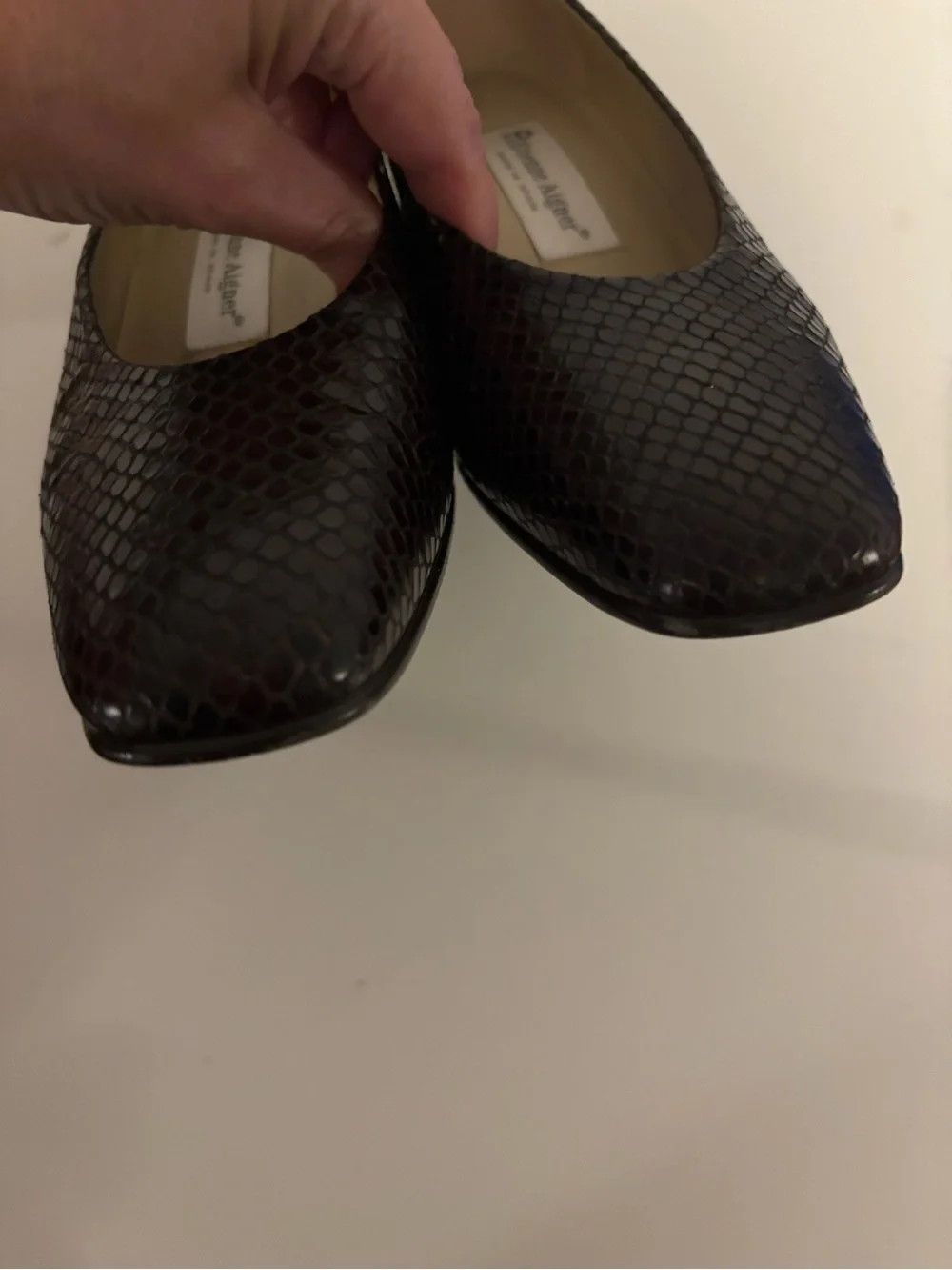 Etienne Aigner Burgundy Snake-Print Pumps